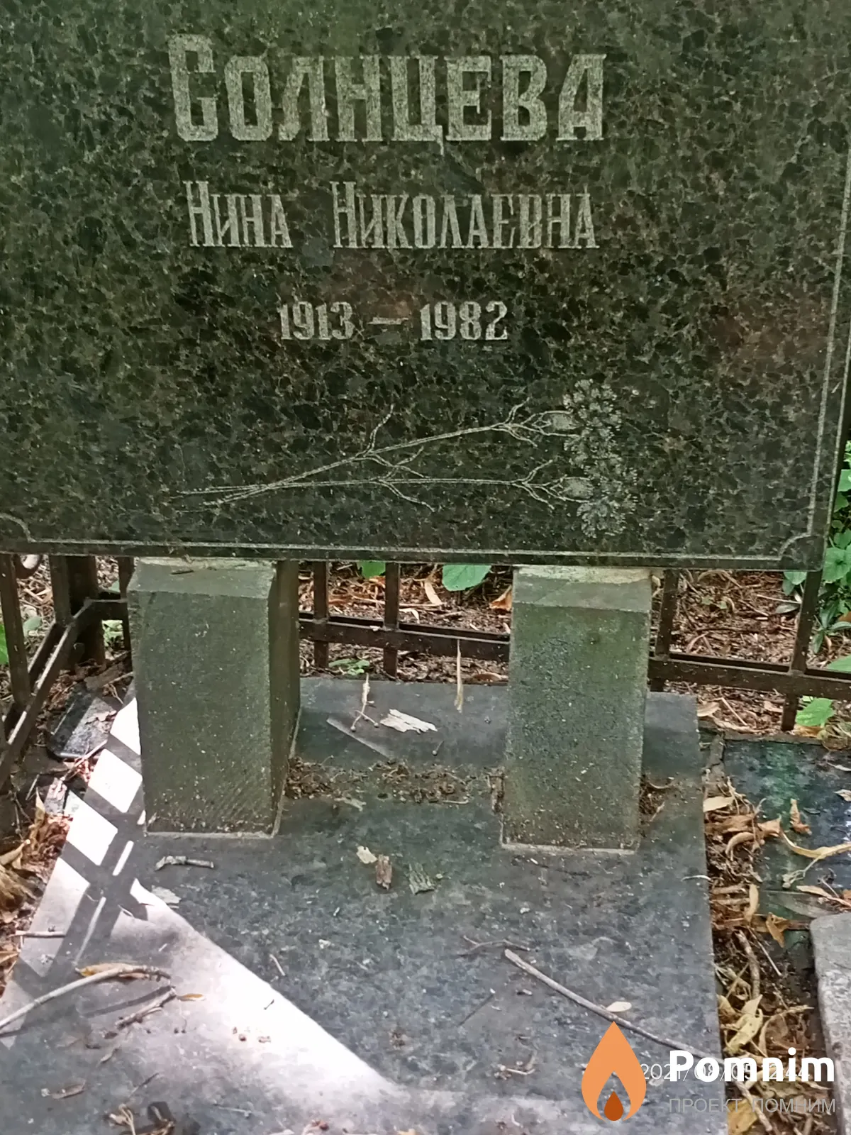 Солнцева Нина Николаевна