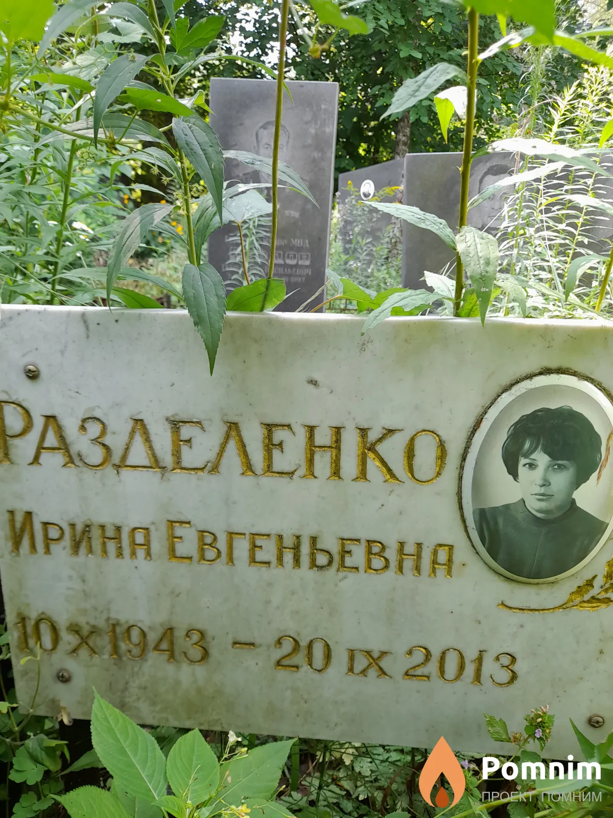 Разделенко Ирина Евгеньевна