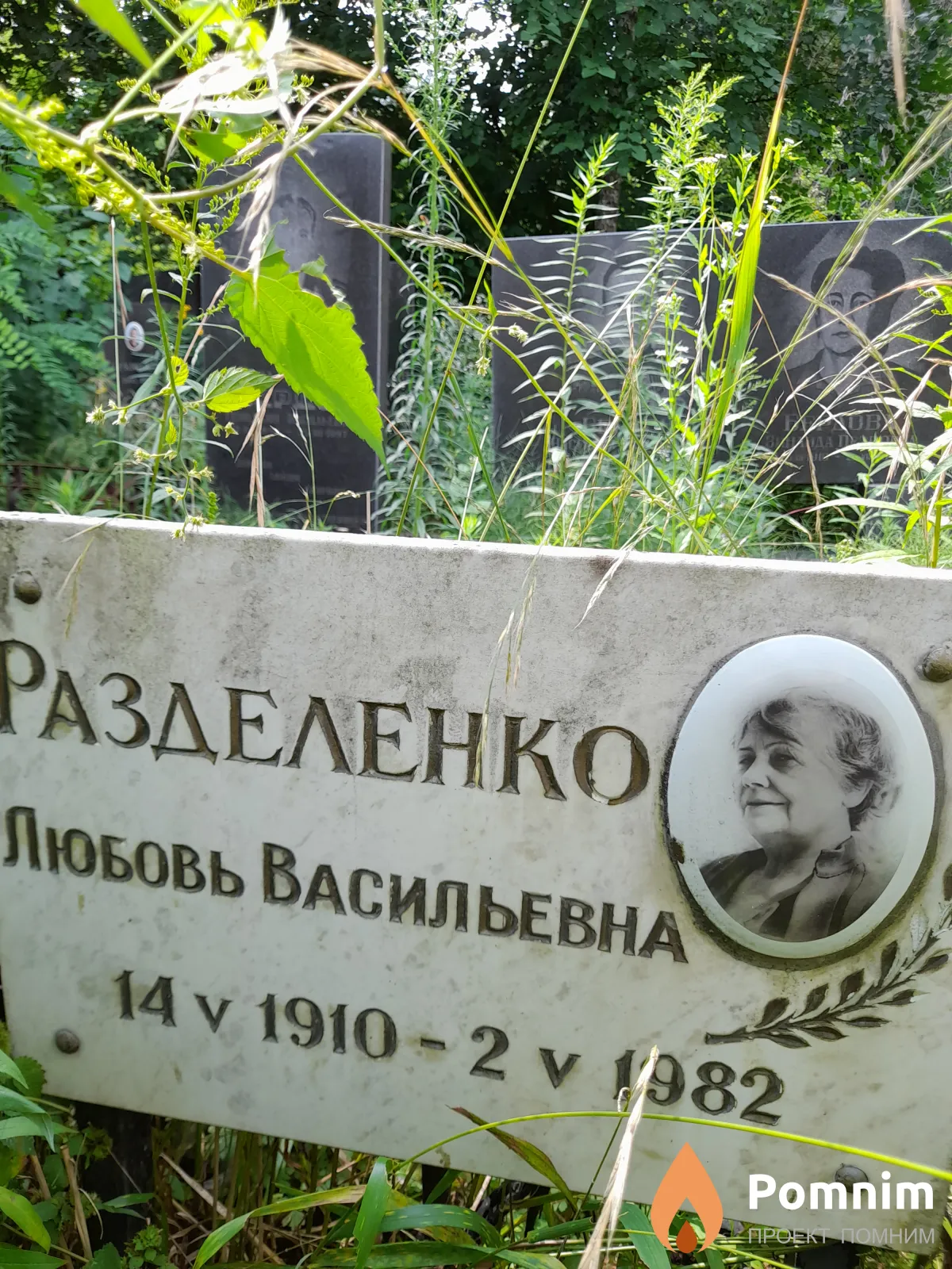 Разделенко Любовь Васильевна