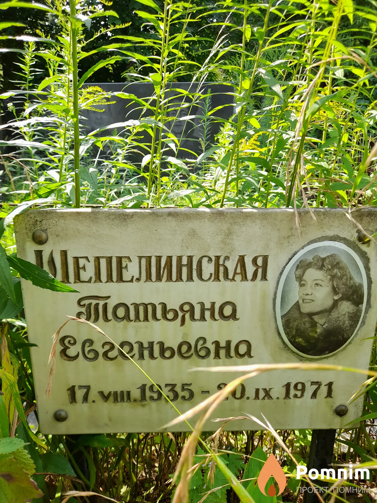 Шепелинская Татьяна Евгеньевна