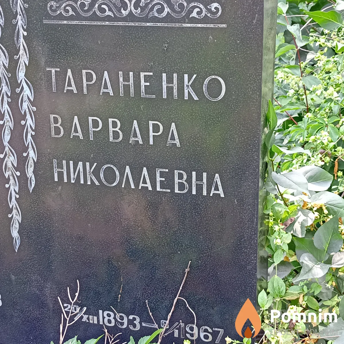 Тараненко Варвара Николаевна