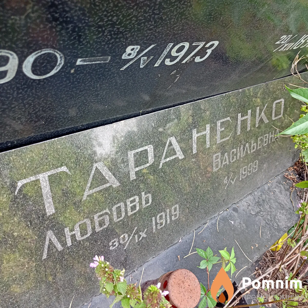Тараненко Любовь Васильевна