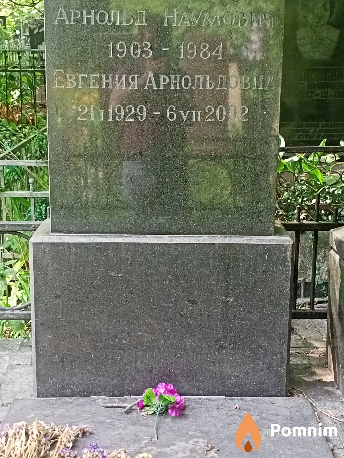 Лехтман Евгения Арнольдовна