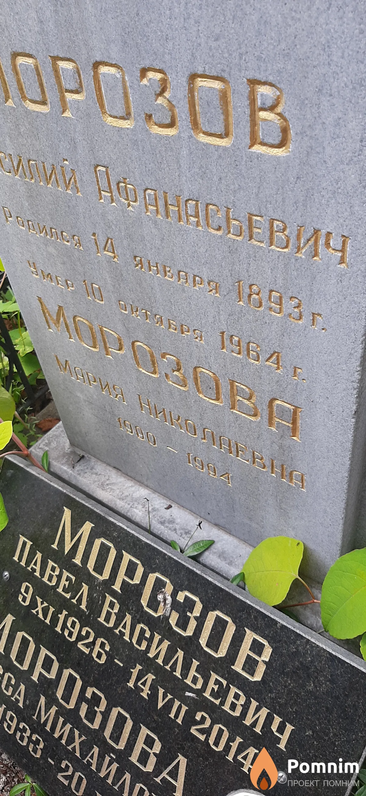 Морозова Мария Николаевна