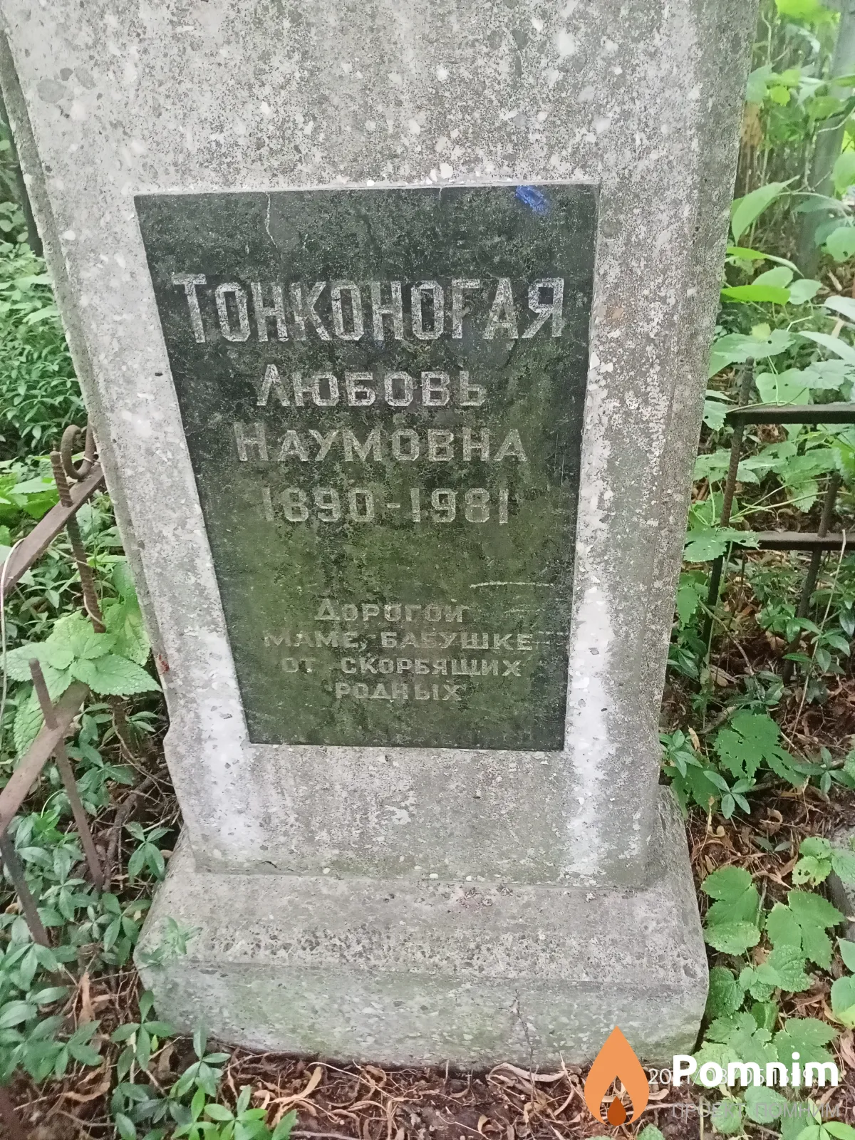 Тонкого ая Любовь Наумовна