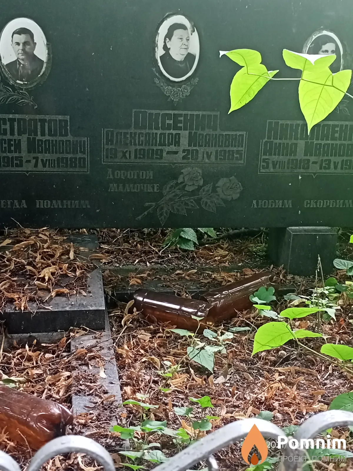 Оксевич Александра Ивановна