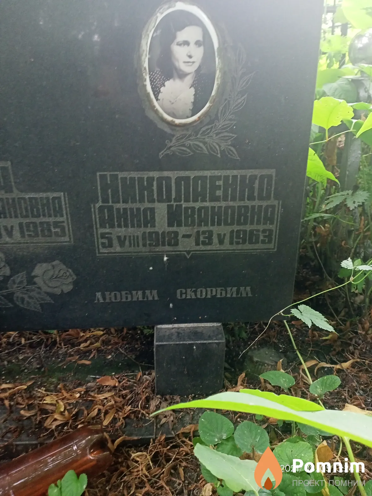 Николаенко Анна Ивановна