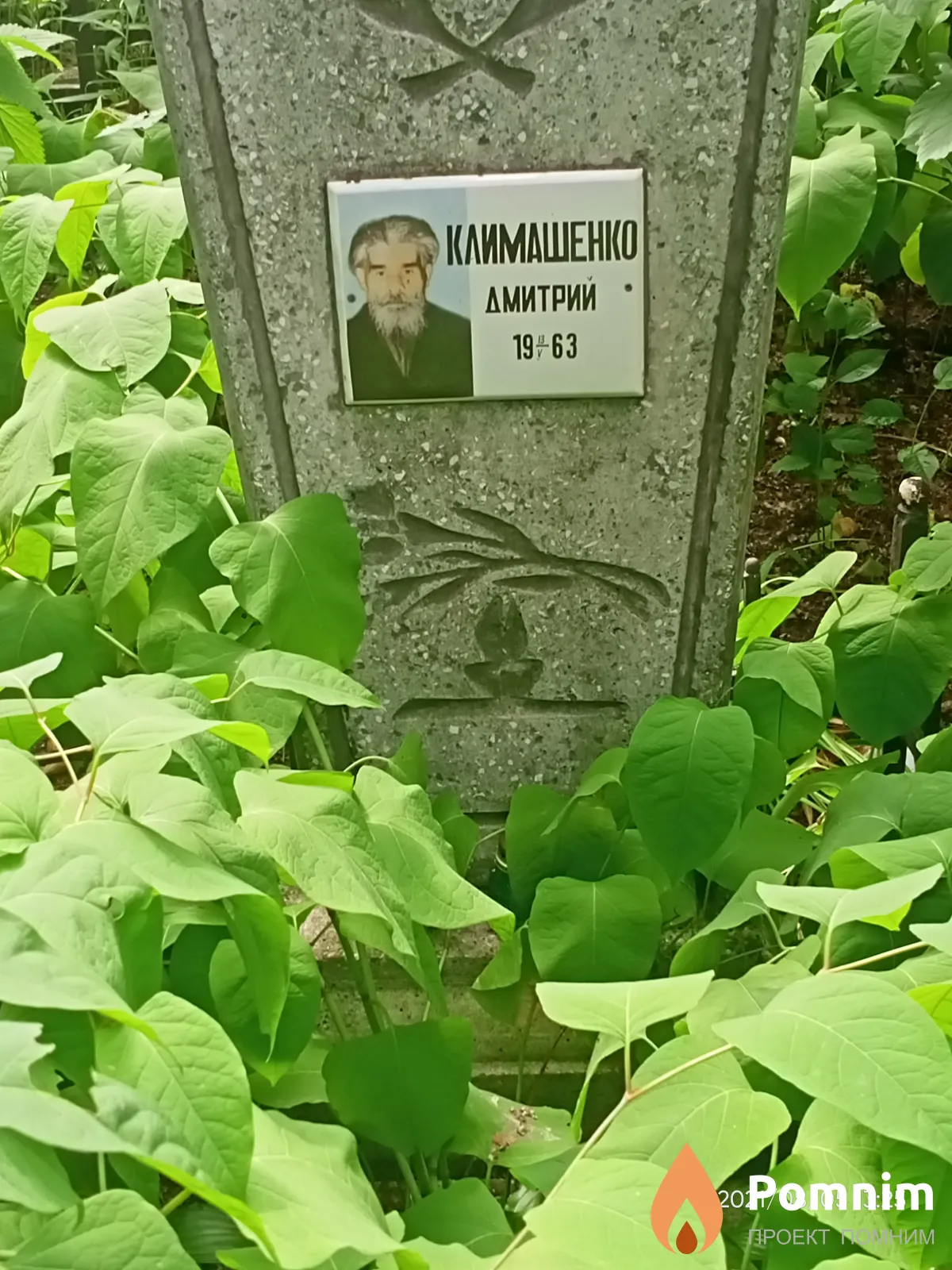Климашенко Дмитрий