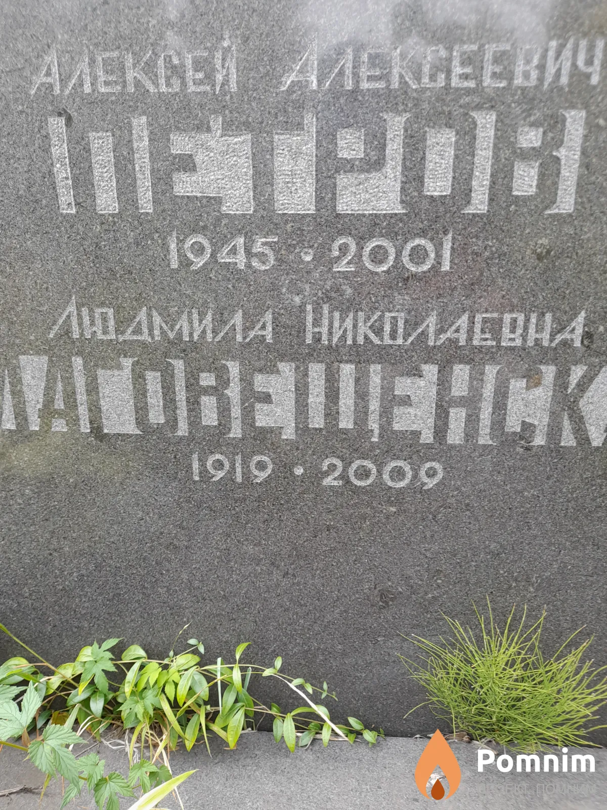 Петров Алексей Алексеевич