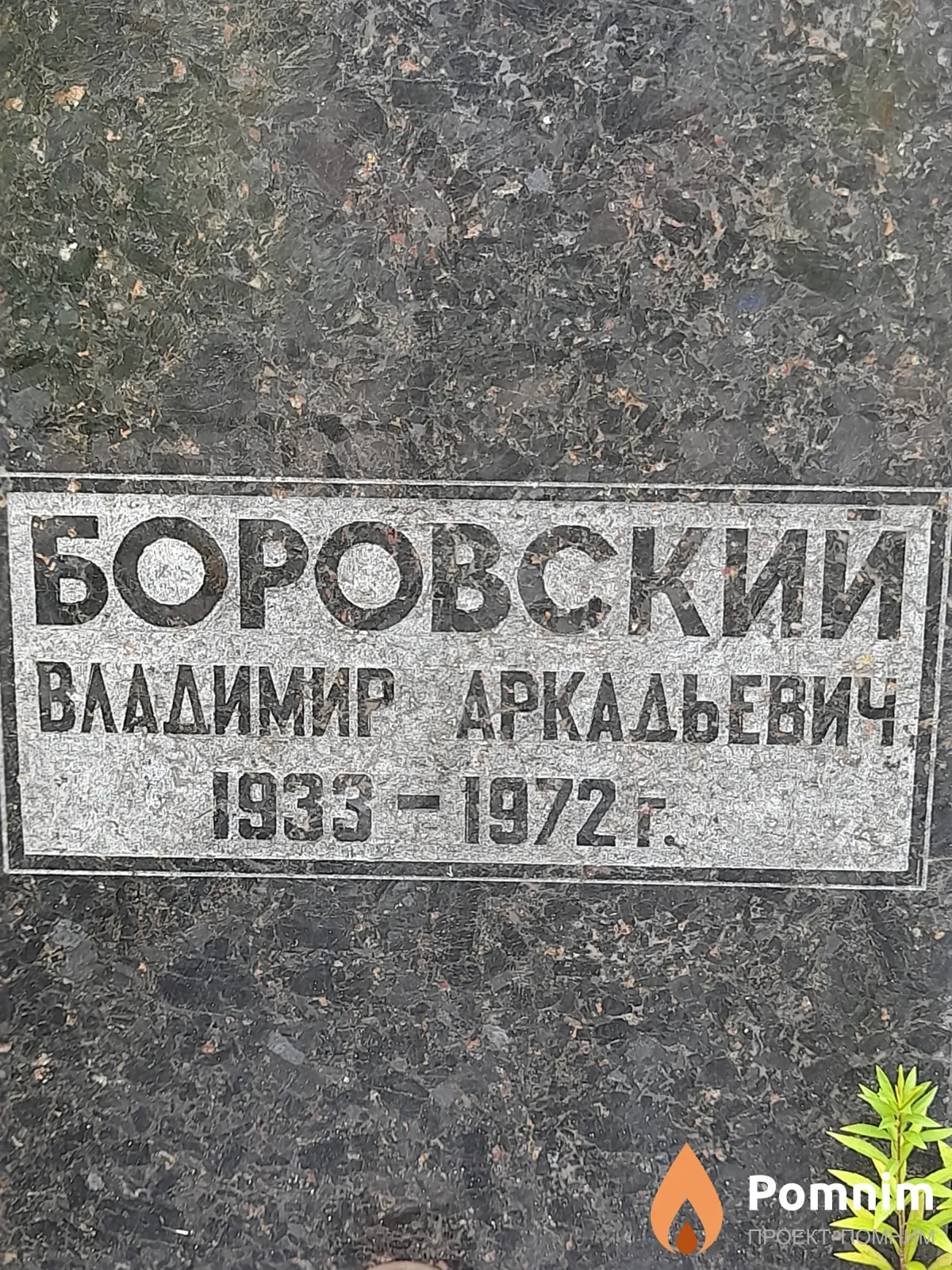 Боровский Владимир Аркадьевич