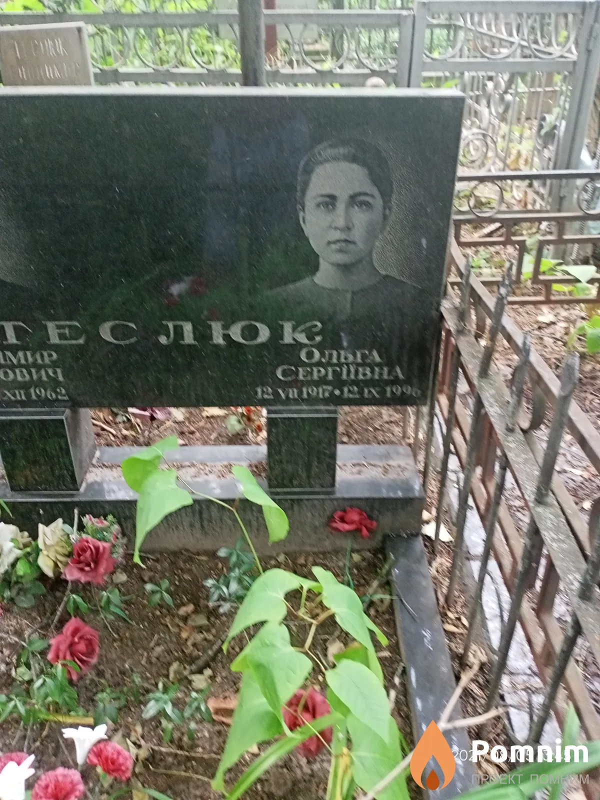 Теслюк Ольга Сергеевна