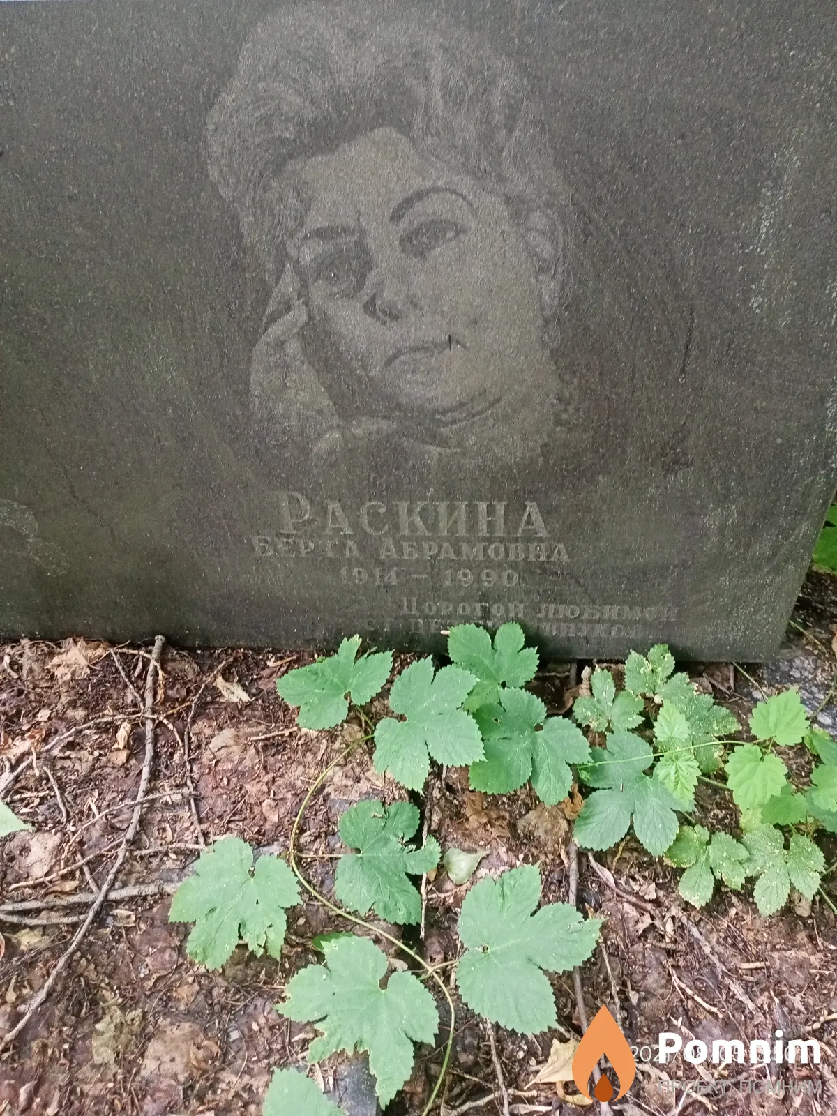 Раскина Берта Абрамовна