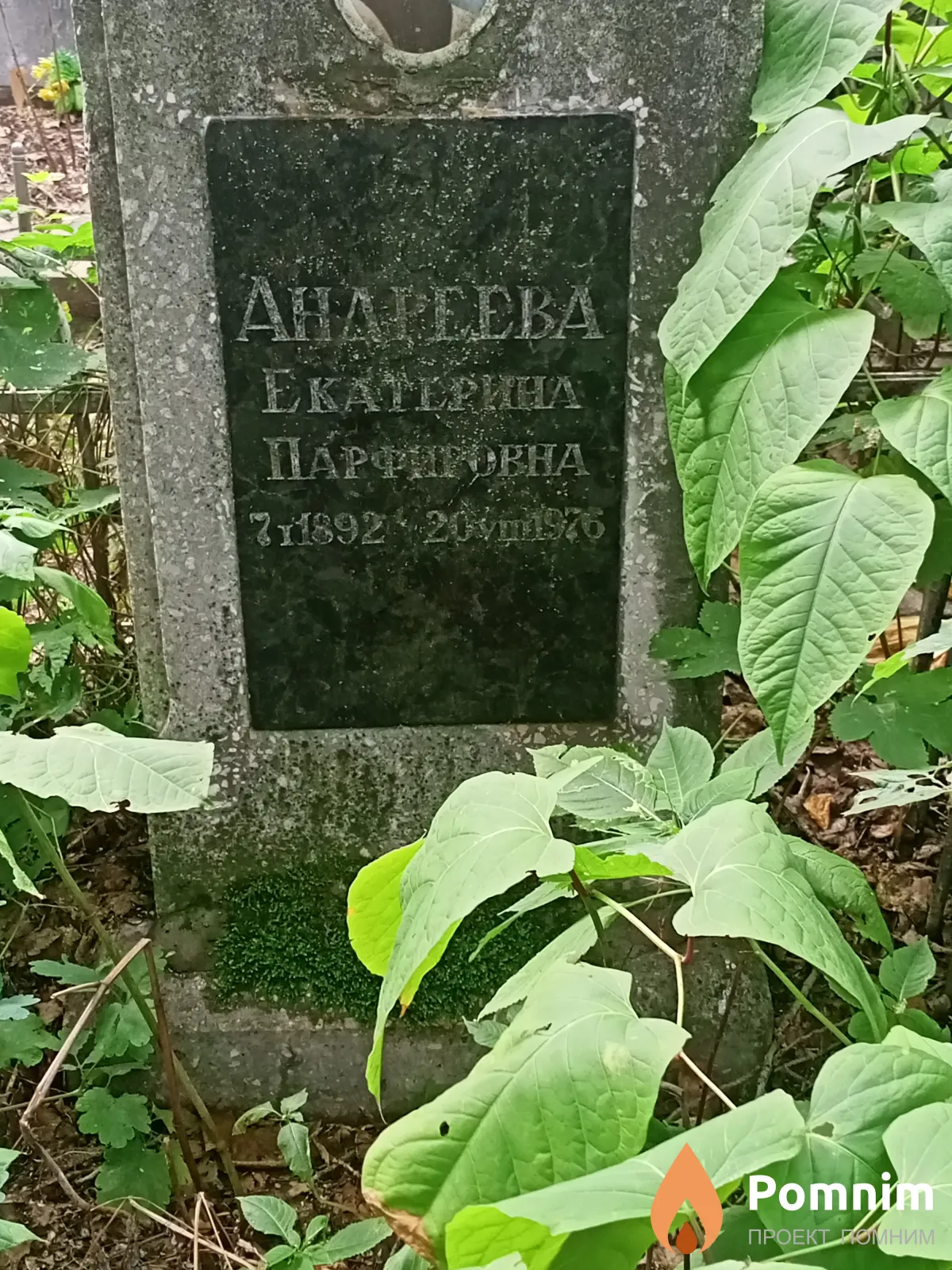 Андреева Екатерина Порфировна