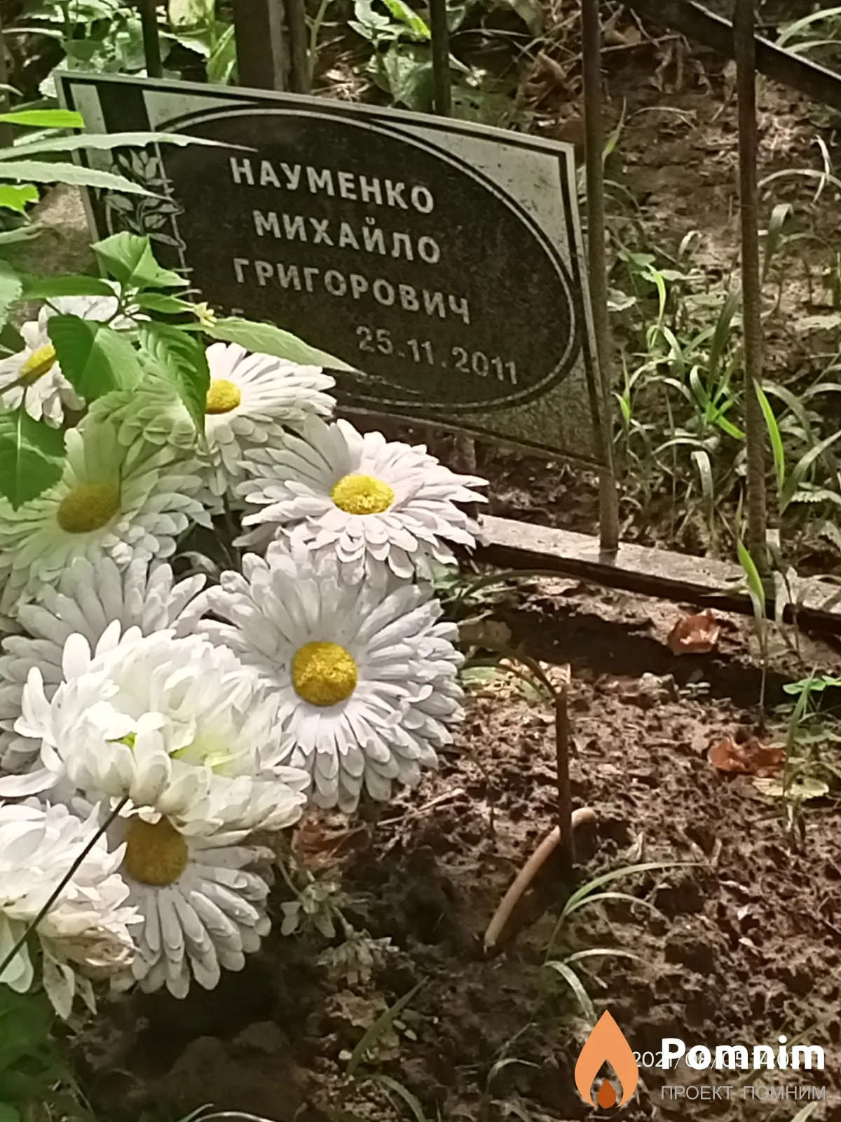 Науменко Михаил Григорьевич