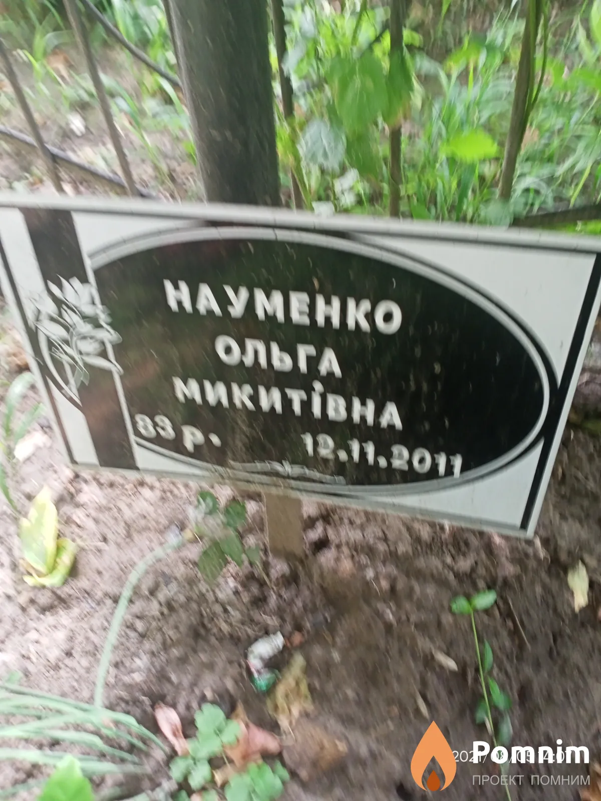 Науменко Ольга Никитовна