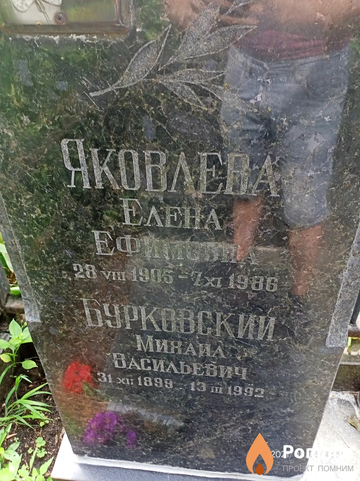 Яковлева Елена Ефимовна