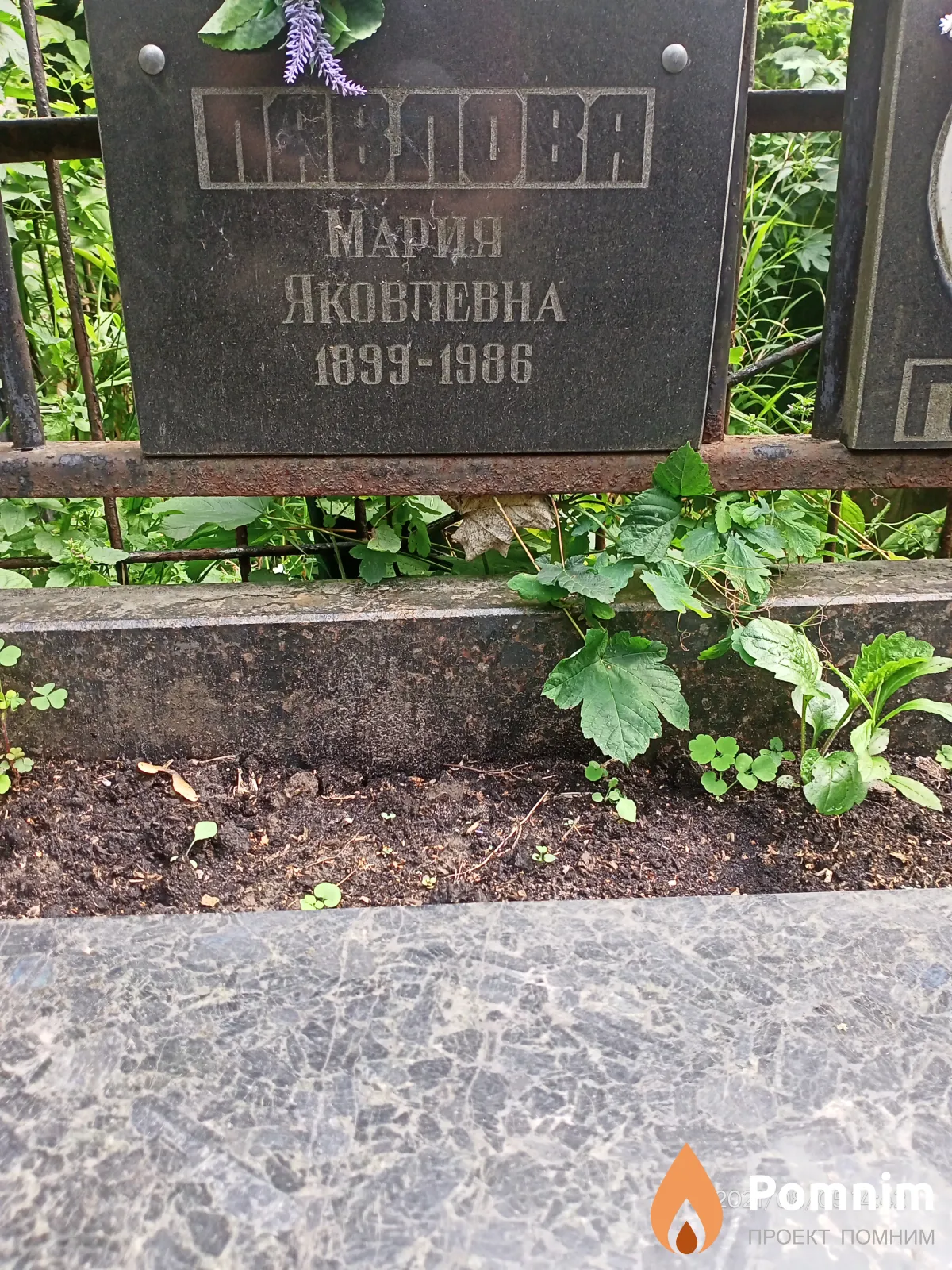 Павлова Mария Яковлевна