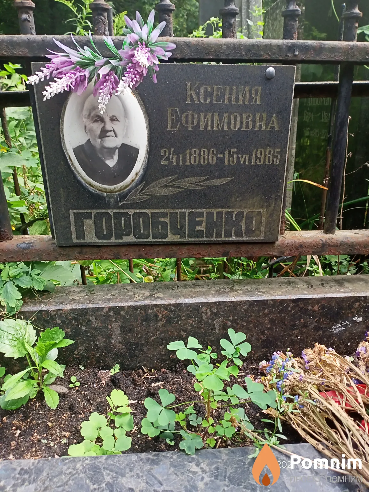 Горобченко Ксения Ефимовна