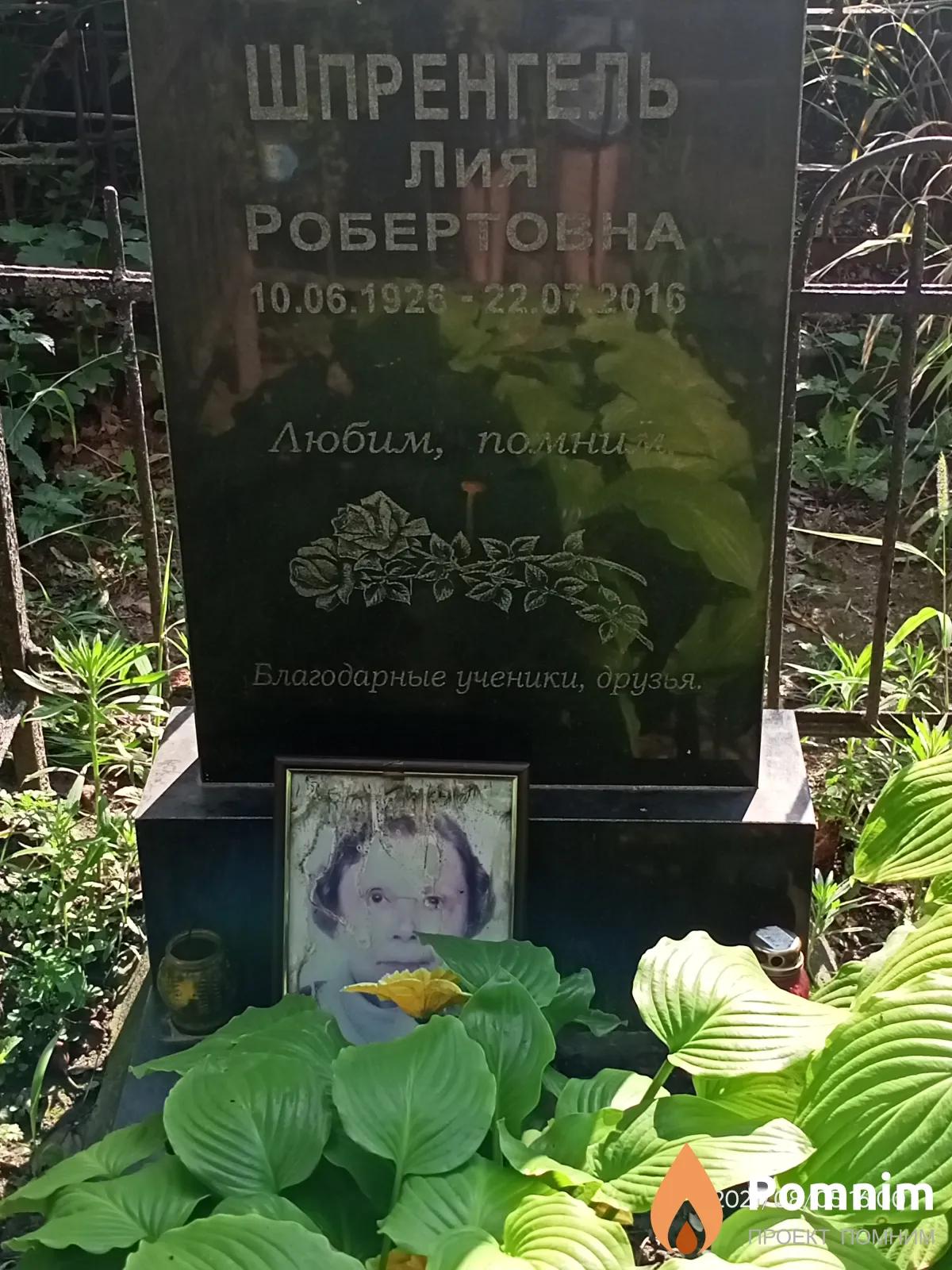 Шпренгель Лия Робертовна