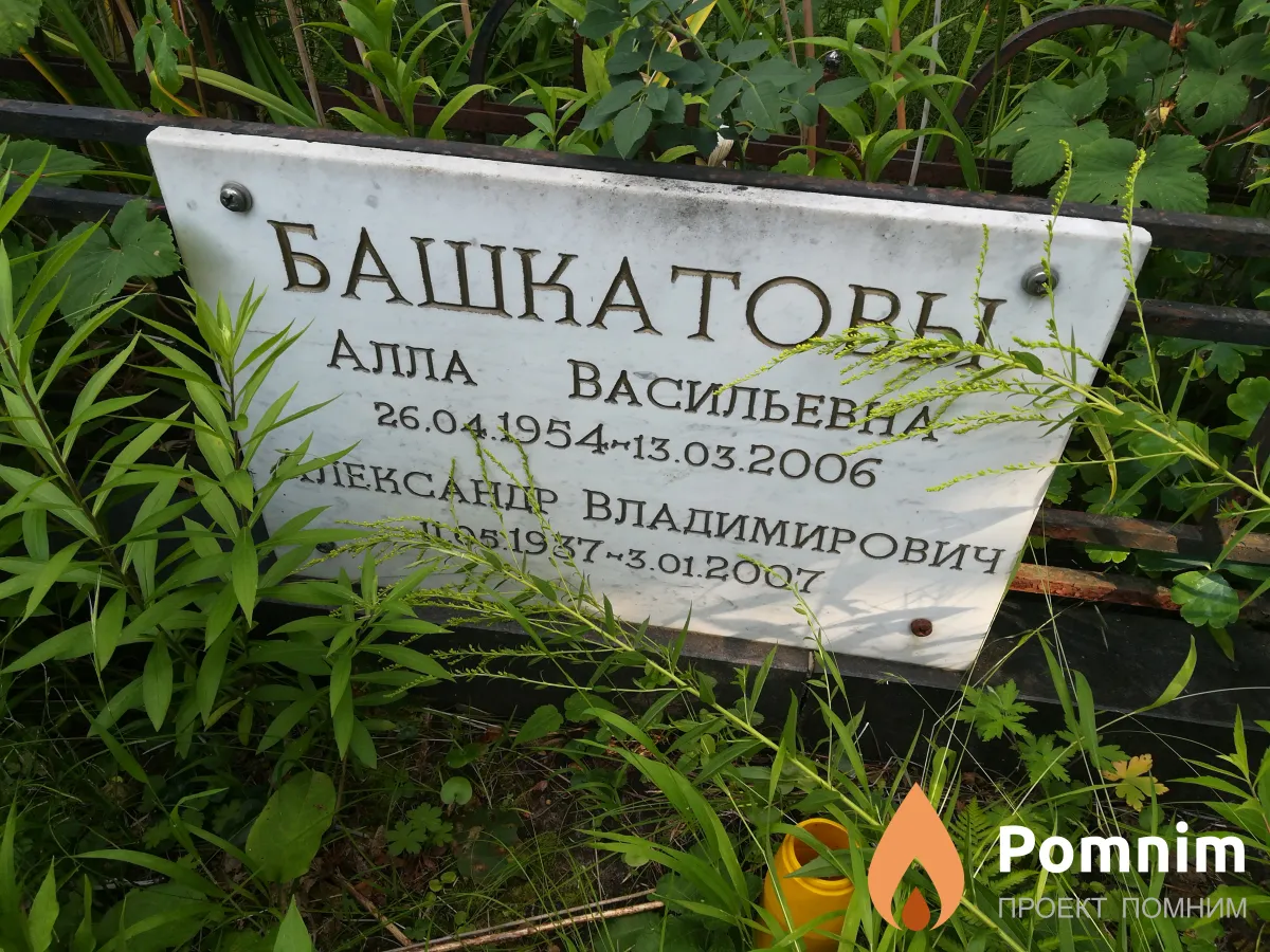 Башкатова Алла Васильевна