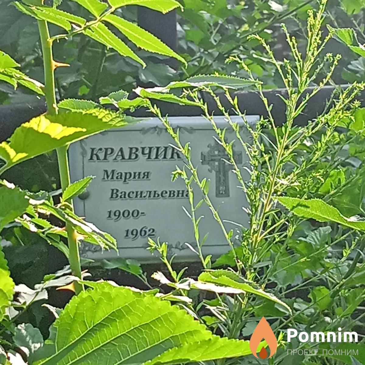 Кравчик Мария Васильевна