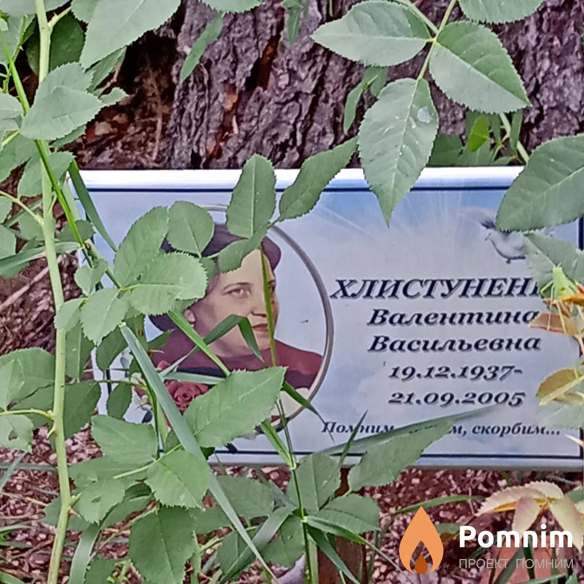 Хлистуненко Валентина Васильевна