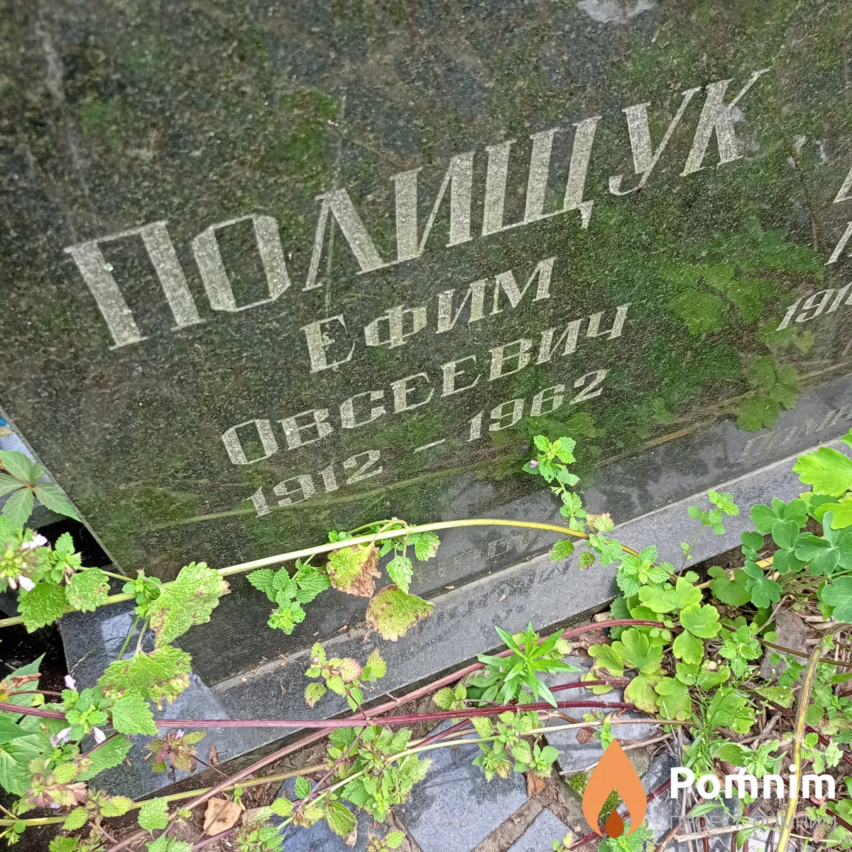 Полищук Ефии Овсеевич