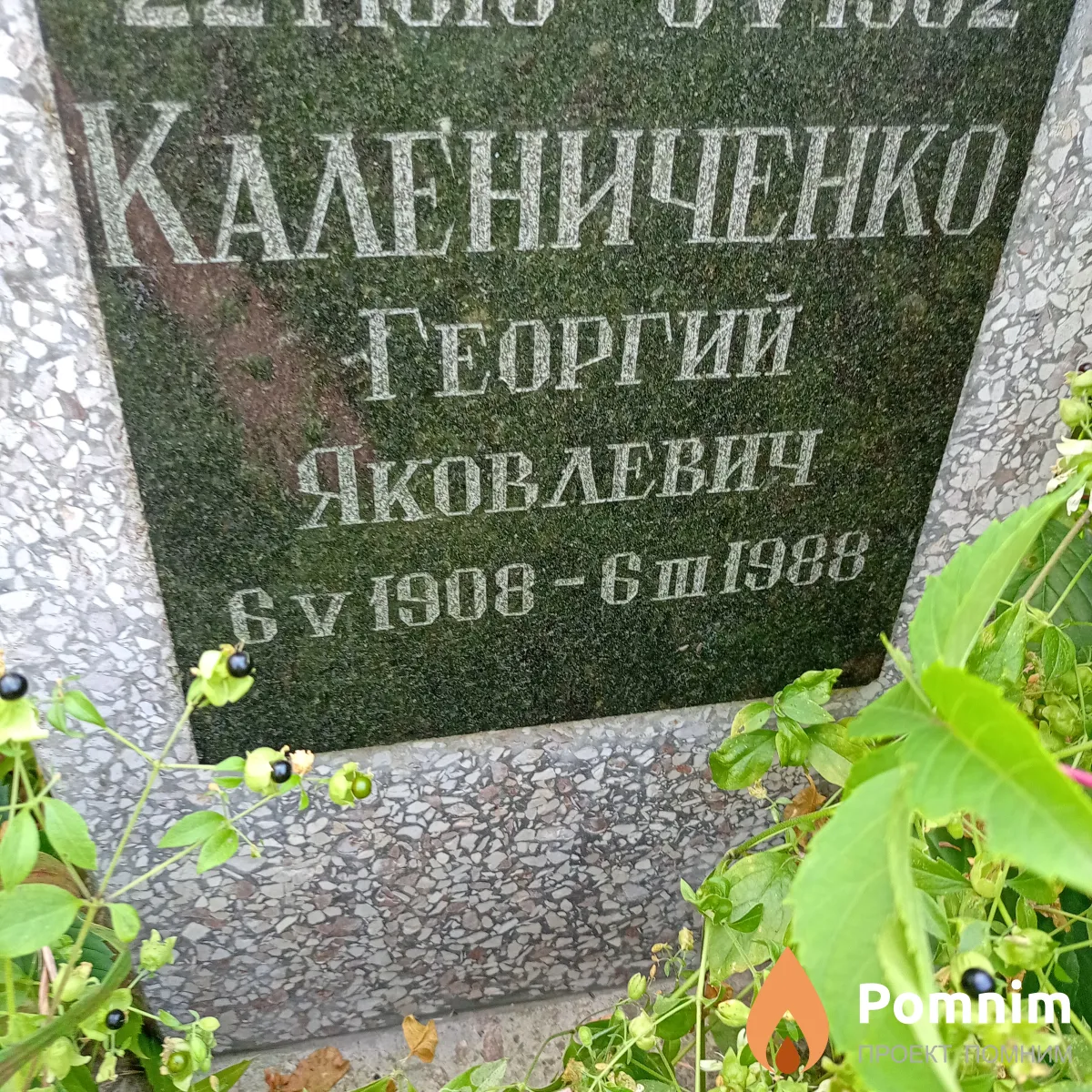 Калениченко Георгий Яковлевич