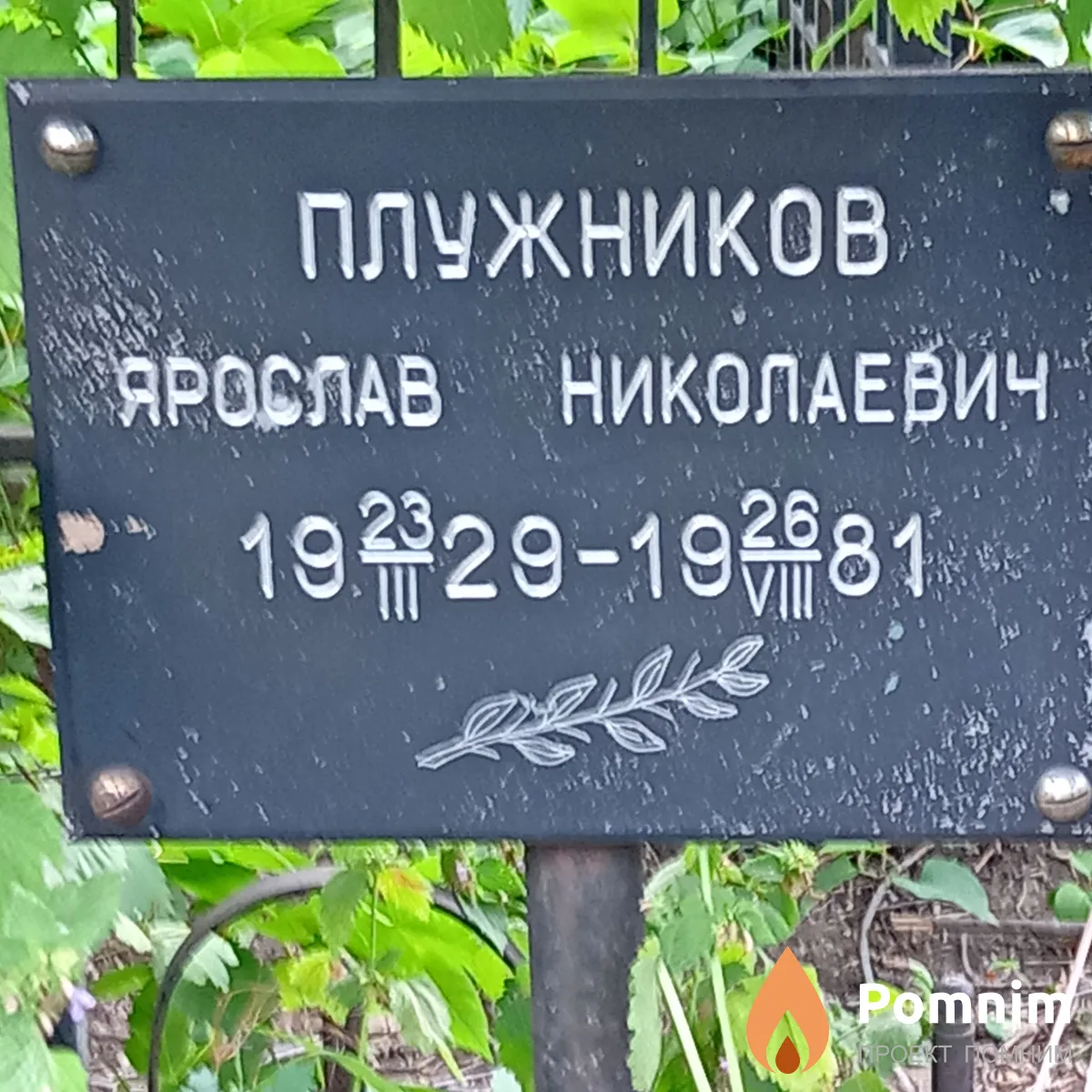 Плужников Ярослав Николаевич