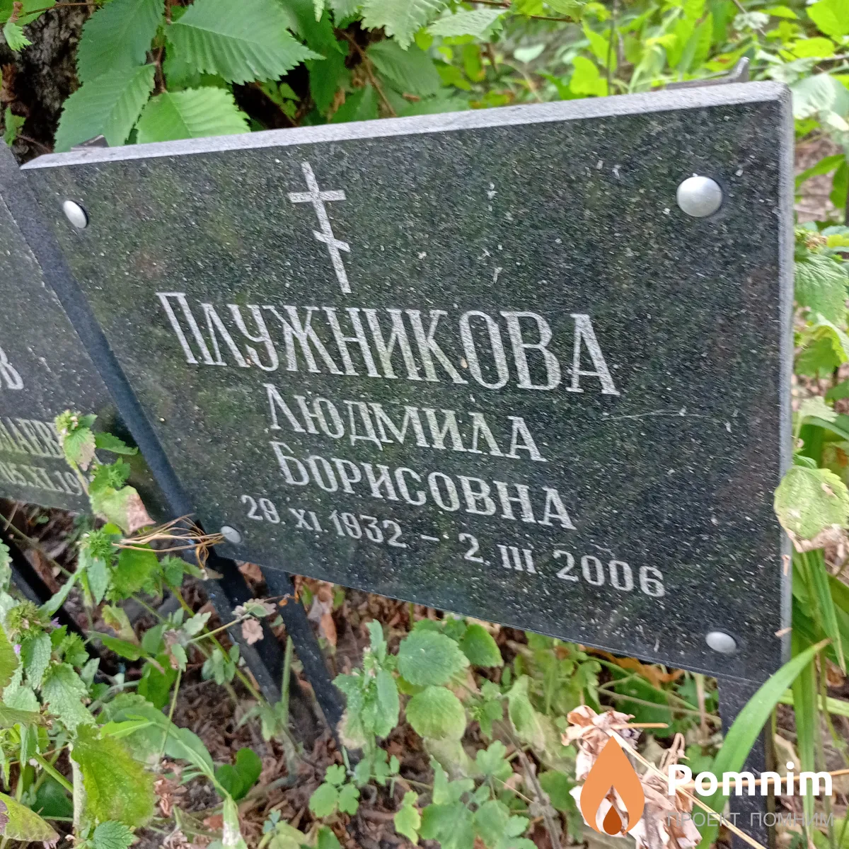 Плужникова Людмила Борисовна