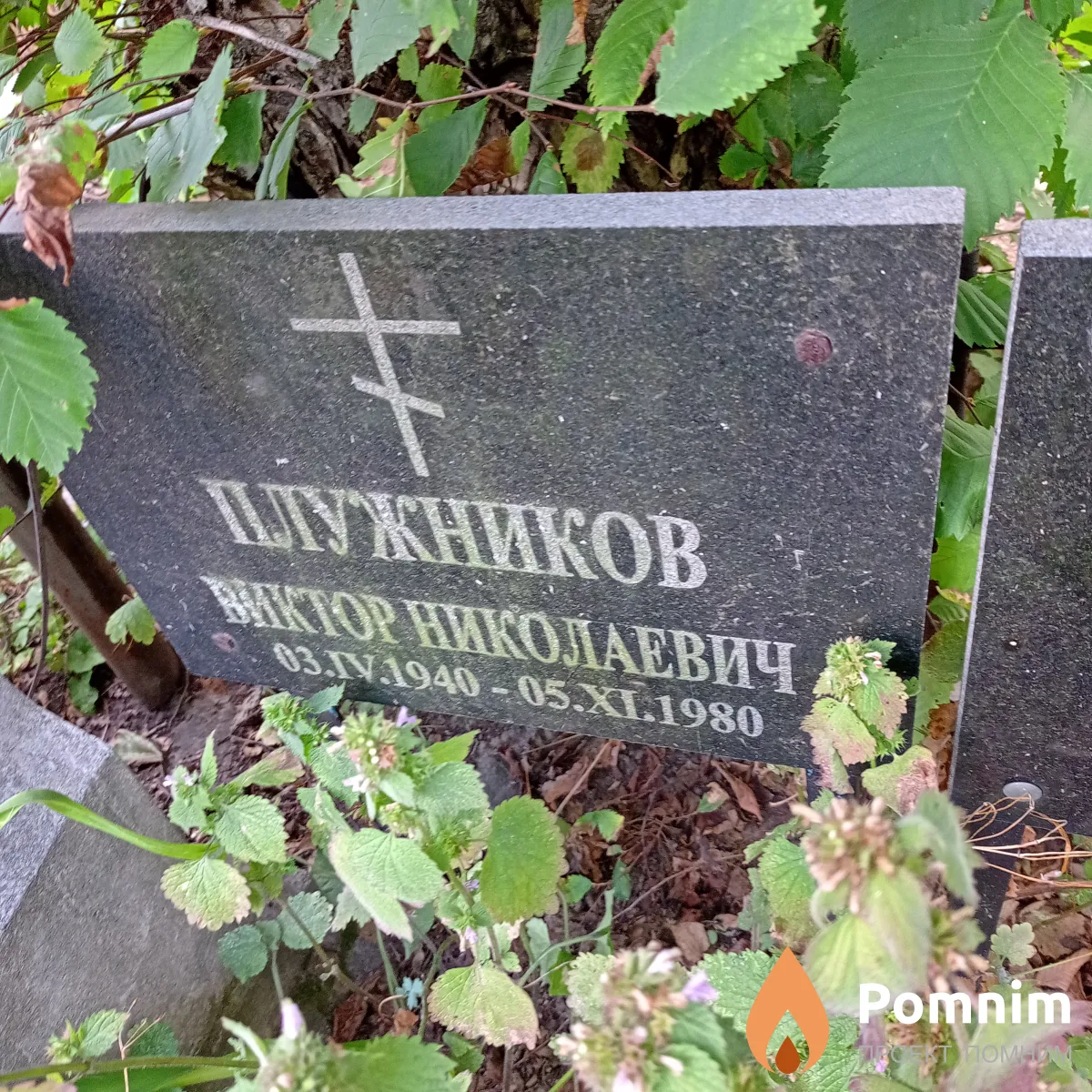 Плужников Виктор Николаевич