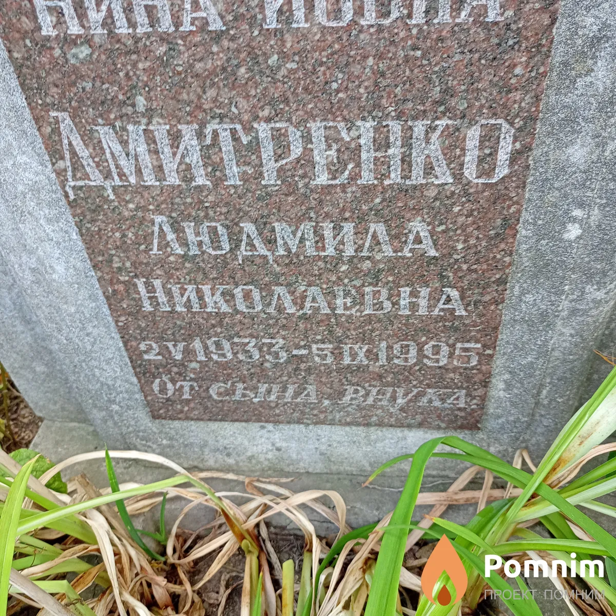 Дмитриенко Людмила Николаевна
