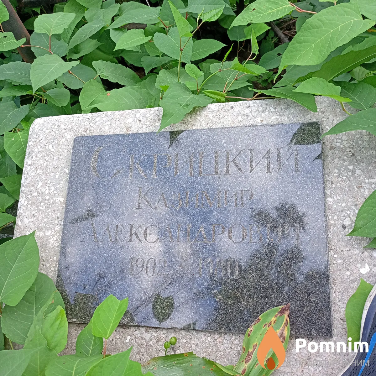 Скрицкий Каземир Александрович