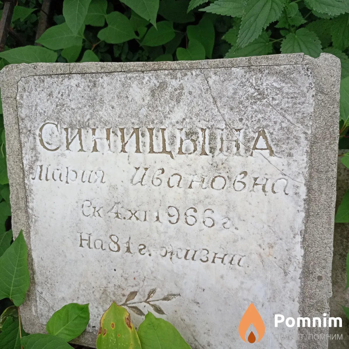 Синицына Мария Ивановна