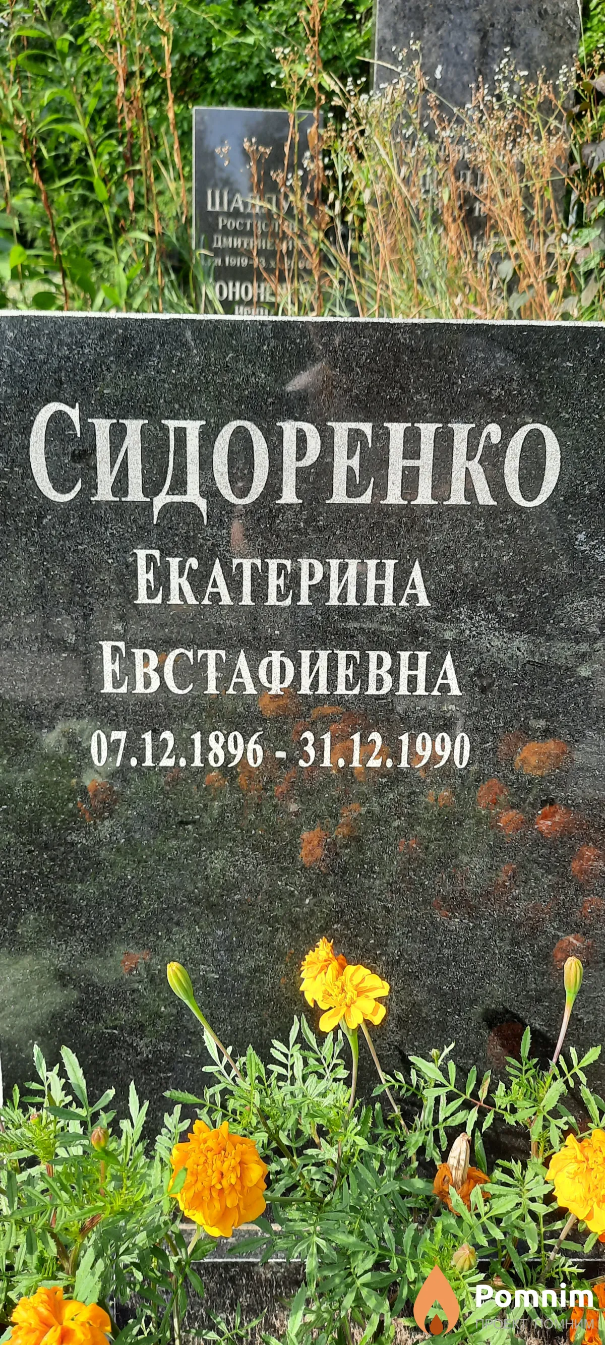 Сидоренко Екатерина Евстафиевна