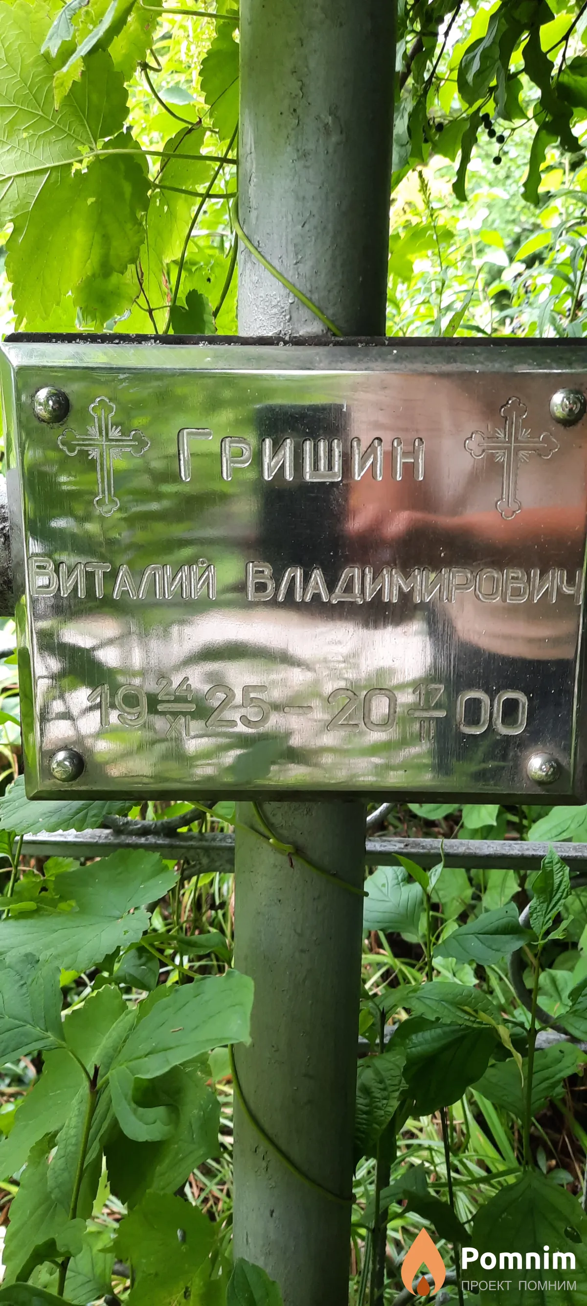 Гришин Виталий Владимирович