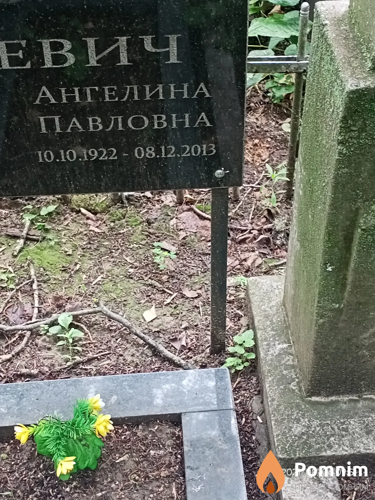 Юхневич Ангелина Павловна