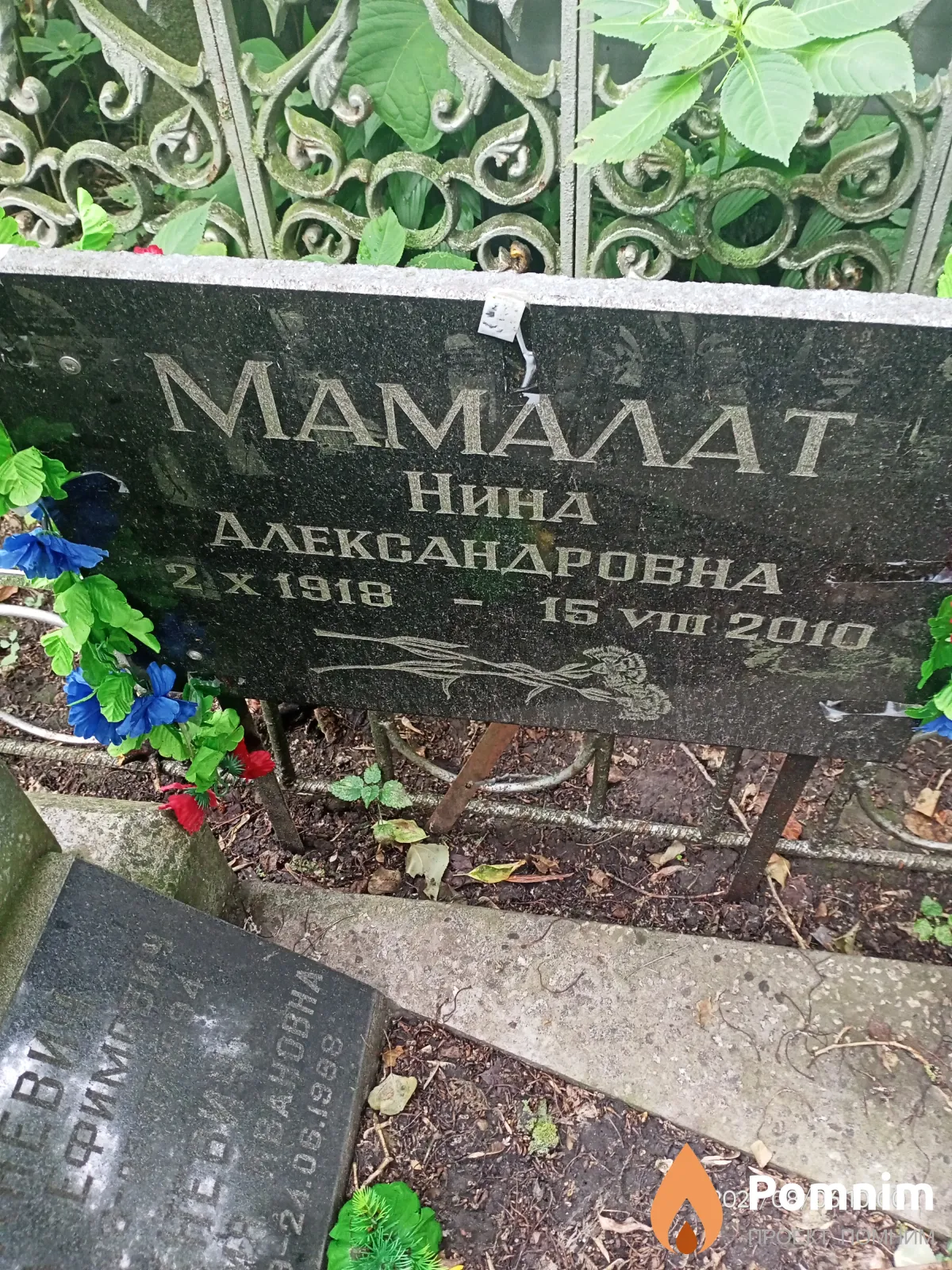 Мамолат Нина Александровна