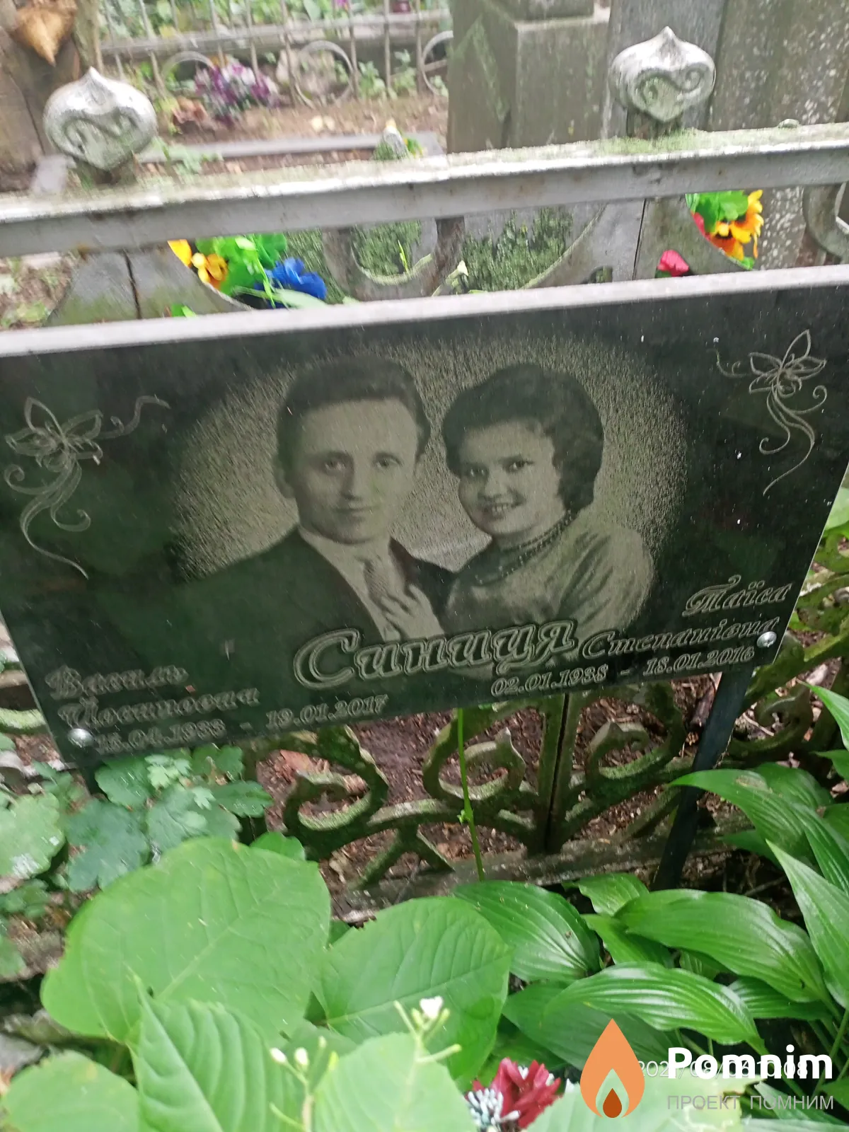 Синица Василий Иосифович