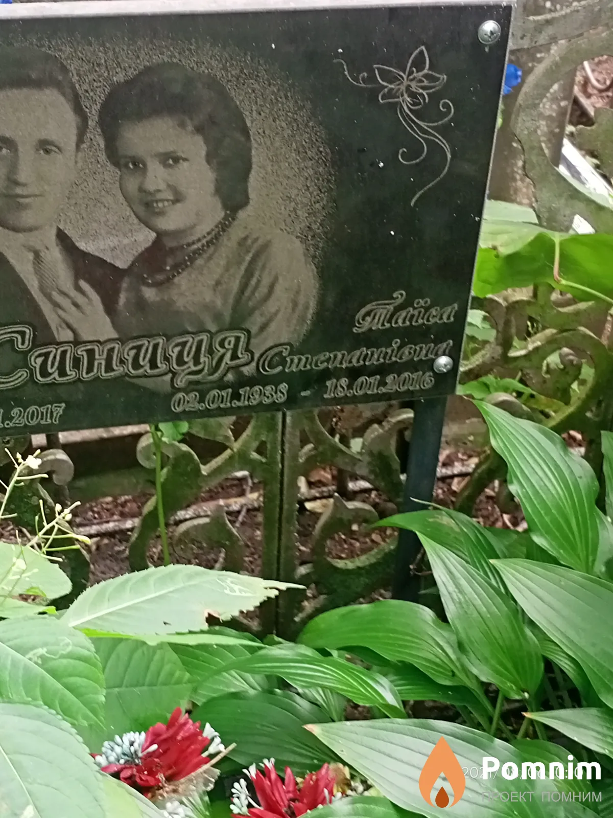 Синица Таисия Степановна