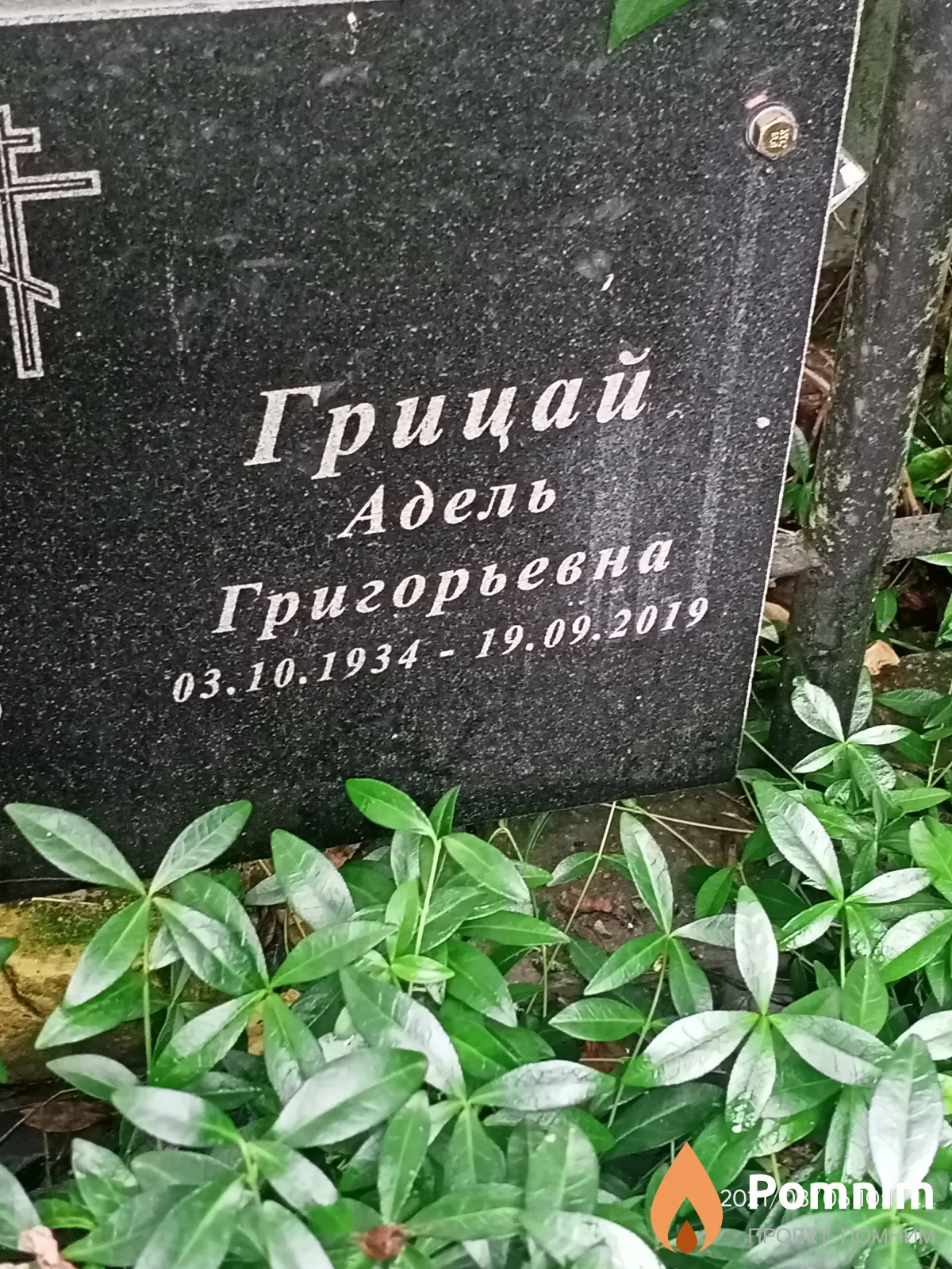 Грицай Адель Григорьевна