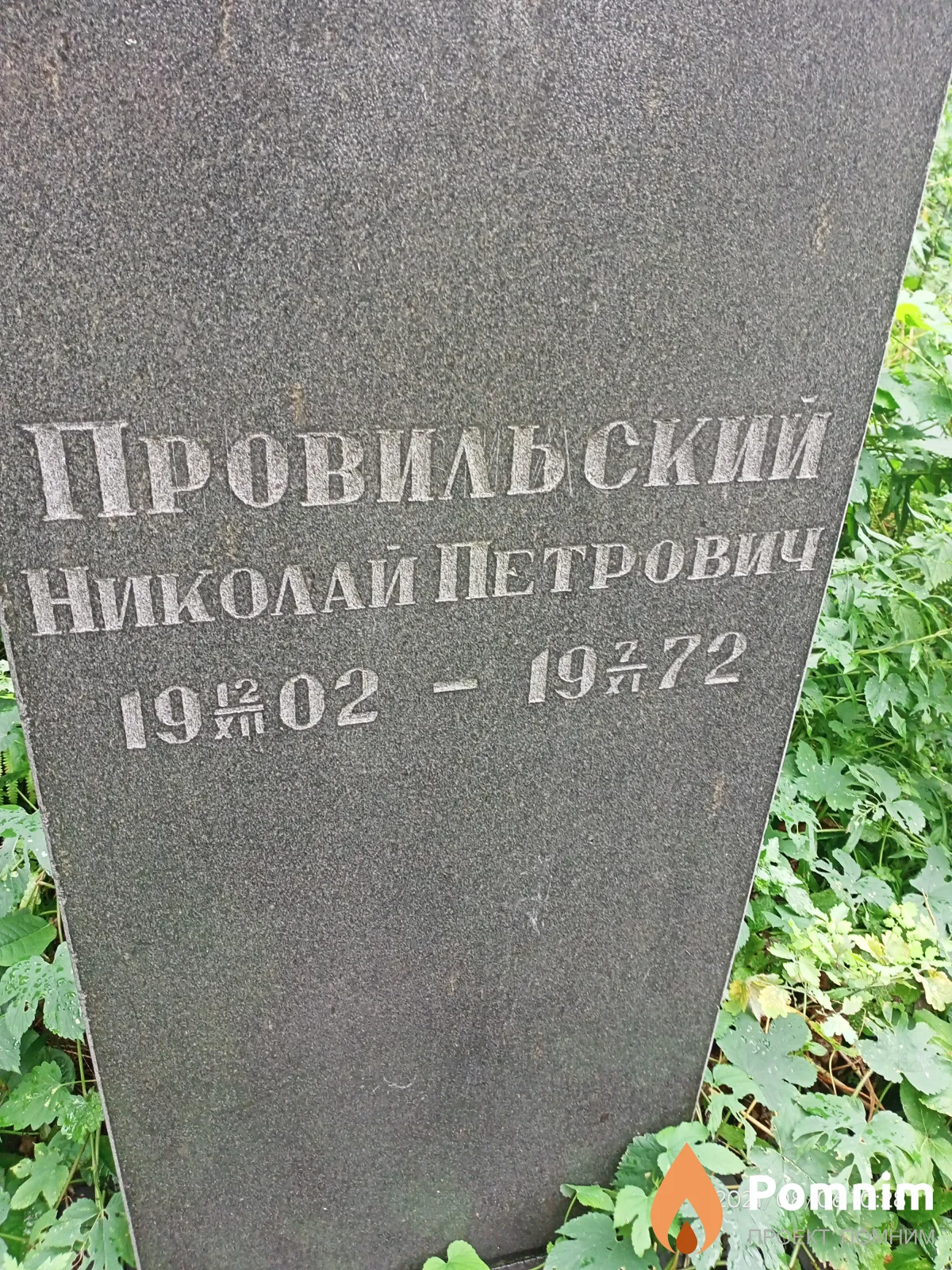 Провильский Николай Петрович