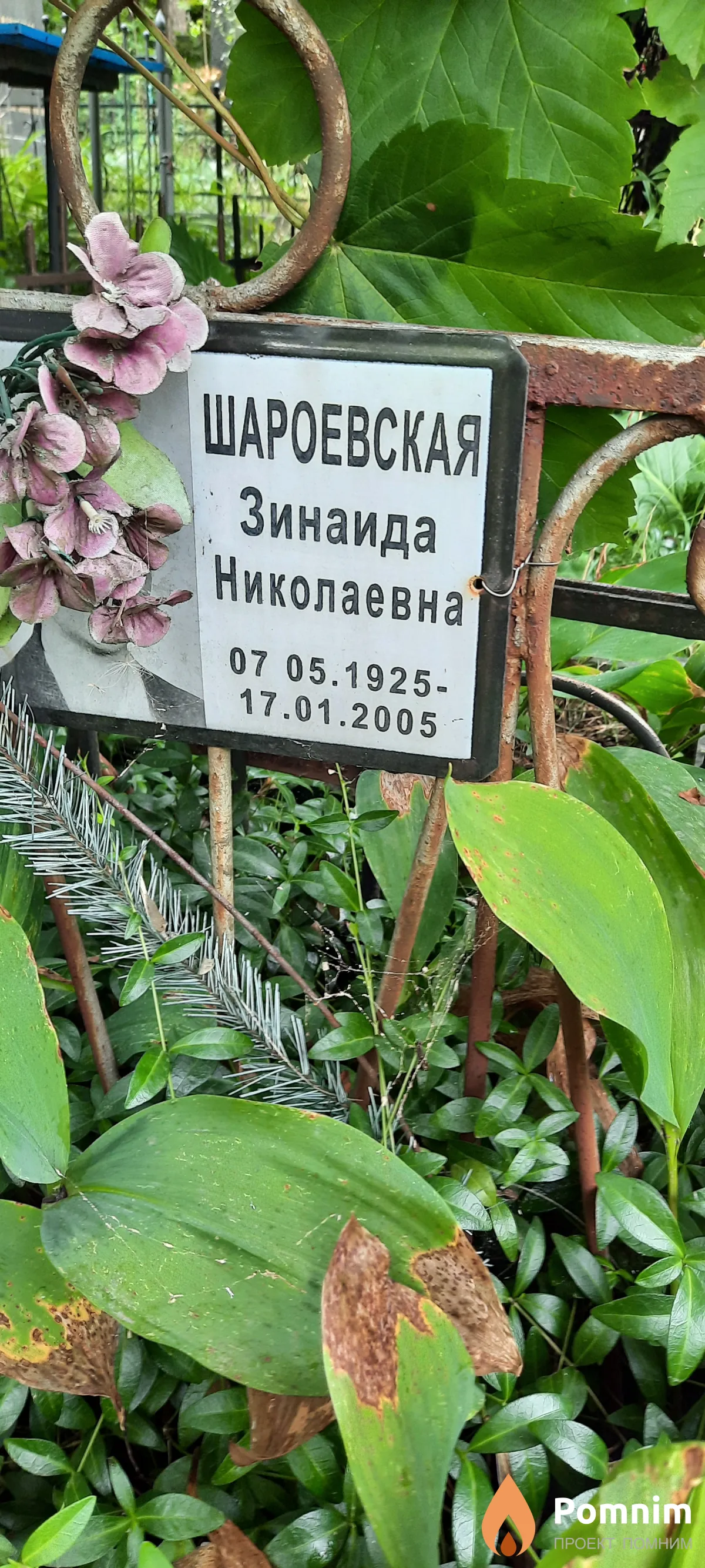 Шароевская Зинаида Николаевна