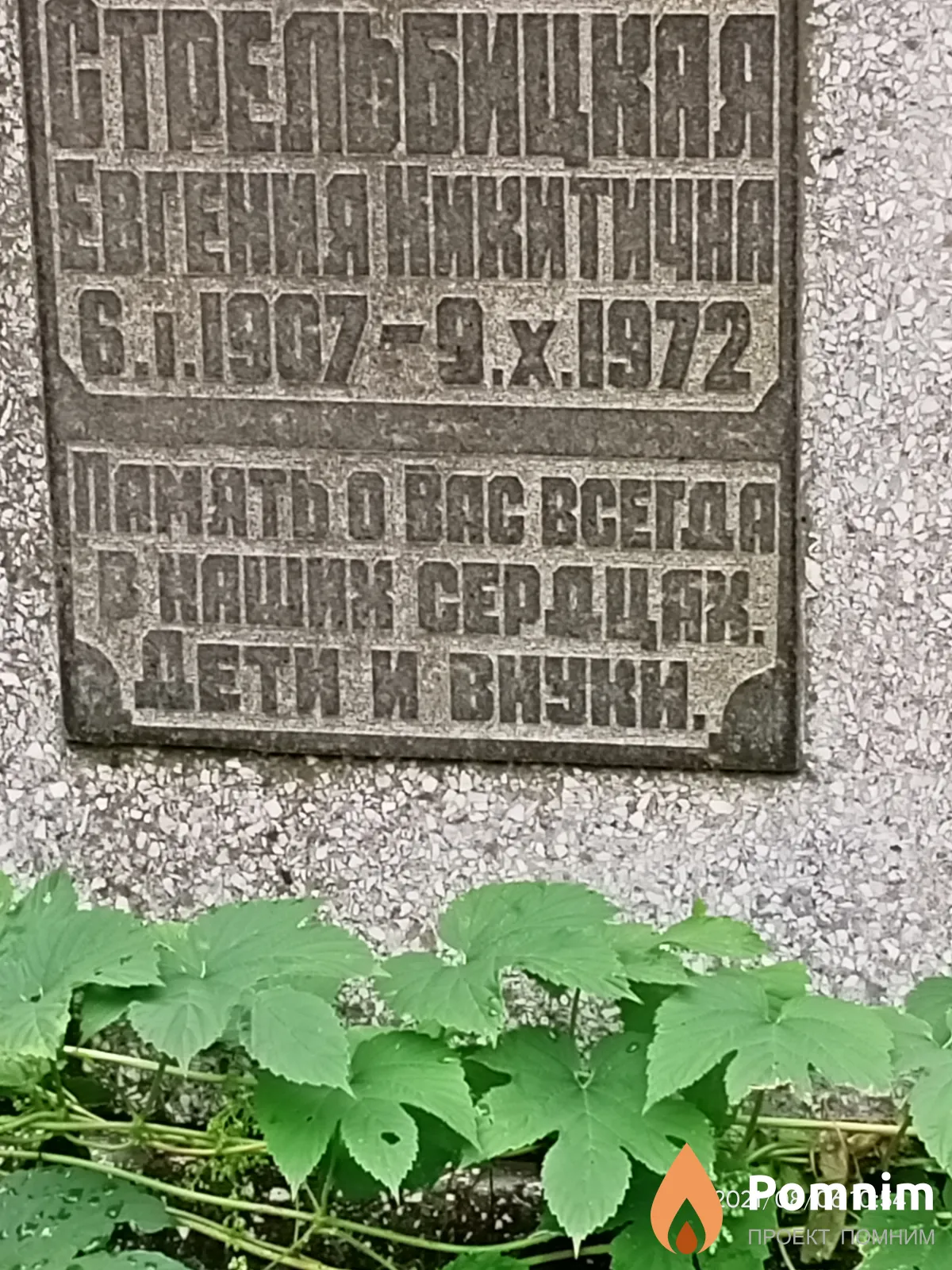 Стрельбицкая Евгения Никитична