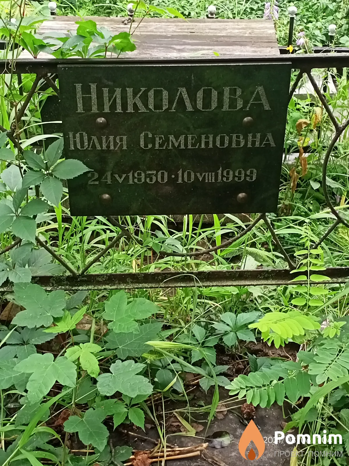 Николова Юлия Семеновна