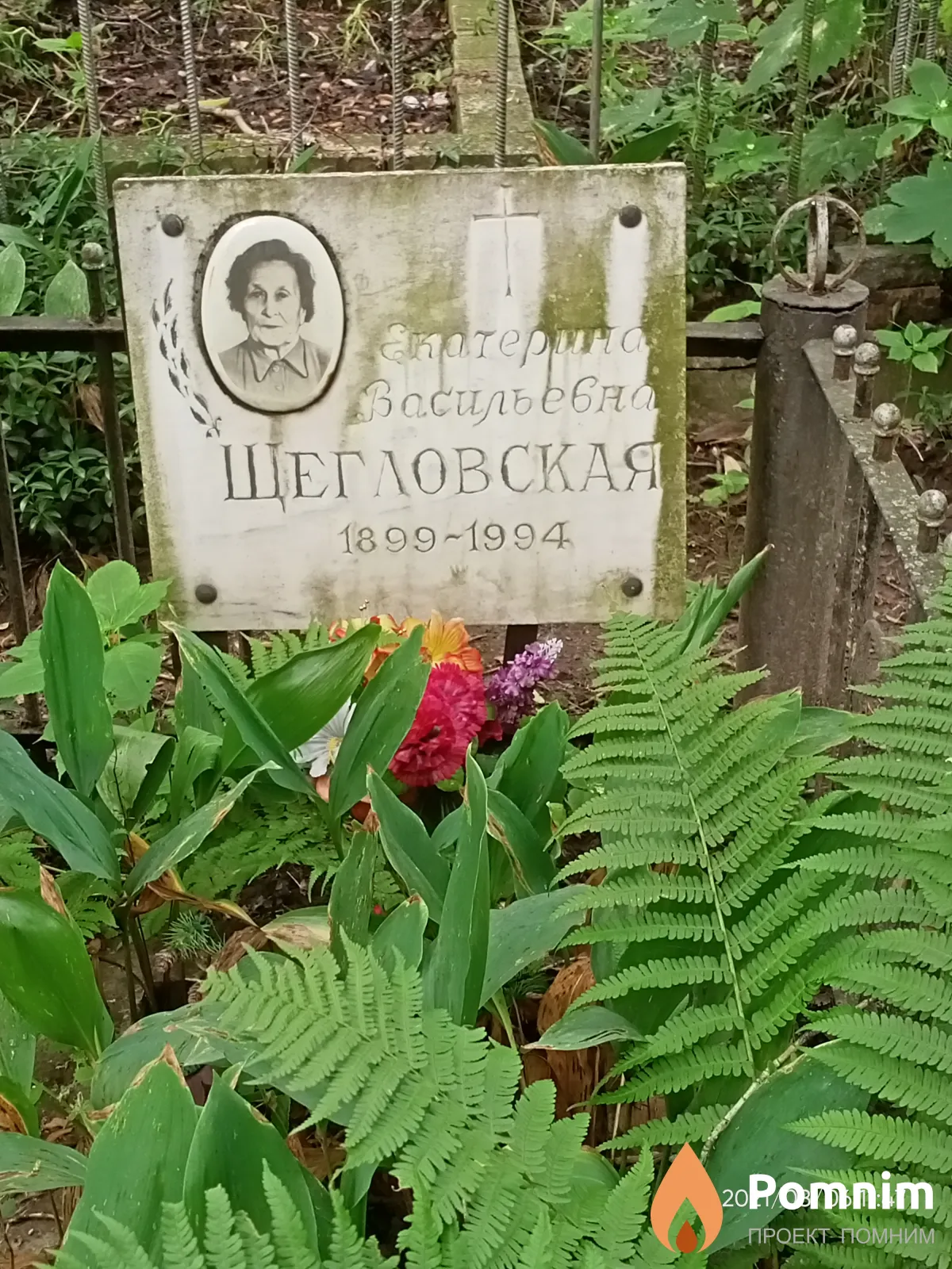 Щегловская Екатерина Васильевна