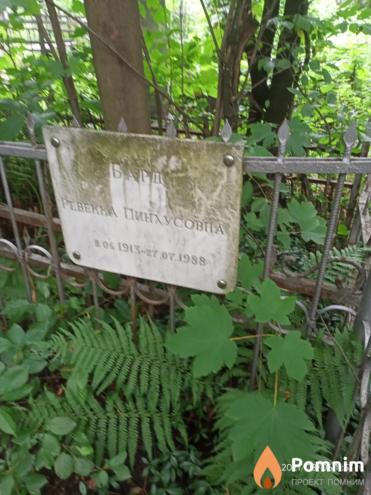 Бард Ревекка Пинхусовна