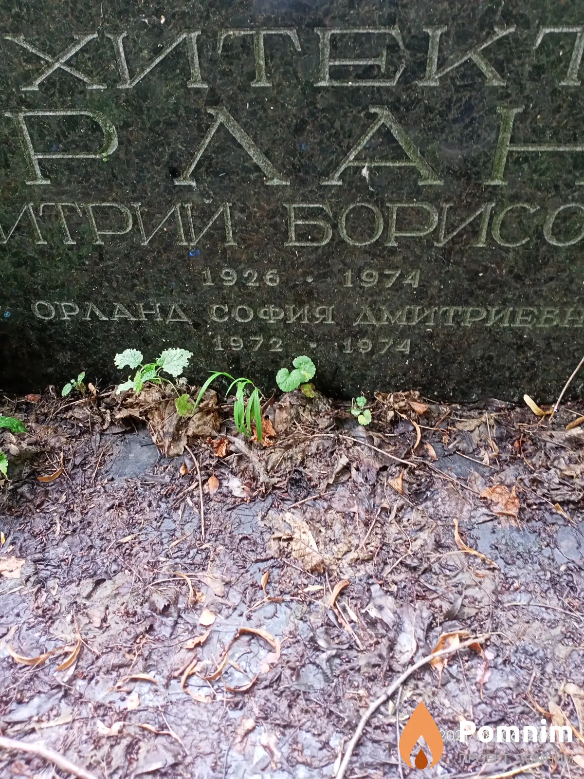 Орланд София Дмитриевна