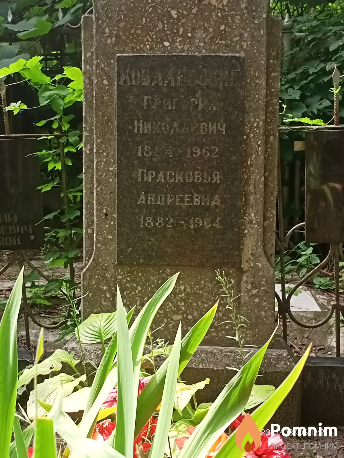 Ковалевская Прасковья Андреевна