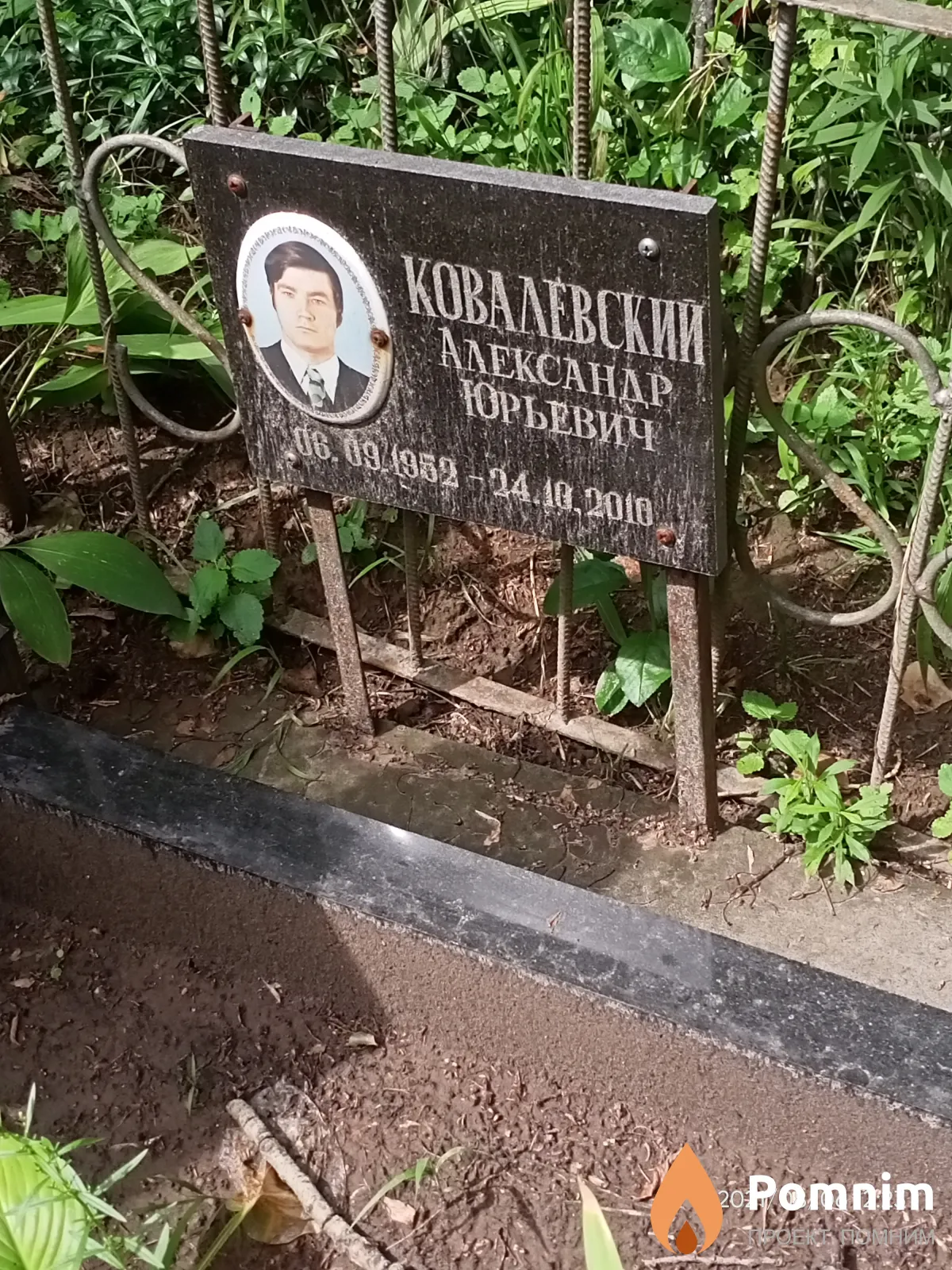 Ковалевский Александр Юрьевич